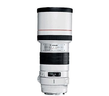 Canon EF 300mm f/4 L IS USM Lens