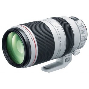 Canon EF 100-400mm f/4.5-5.6 L IS II USM Lens