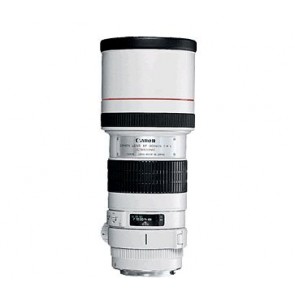 Canon EF 300mm f/4 L IS USM Lens