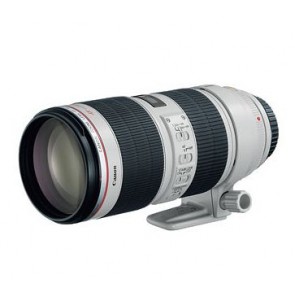 Canon EF 70-200mm f/2.8 L IS II USM Lens