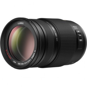 Panasonic Lumix G Vario 100-300mm f/4.0-5.6 MEGA O.I.S. Lens